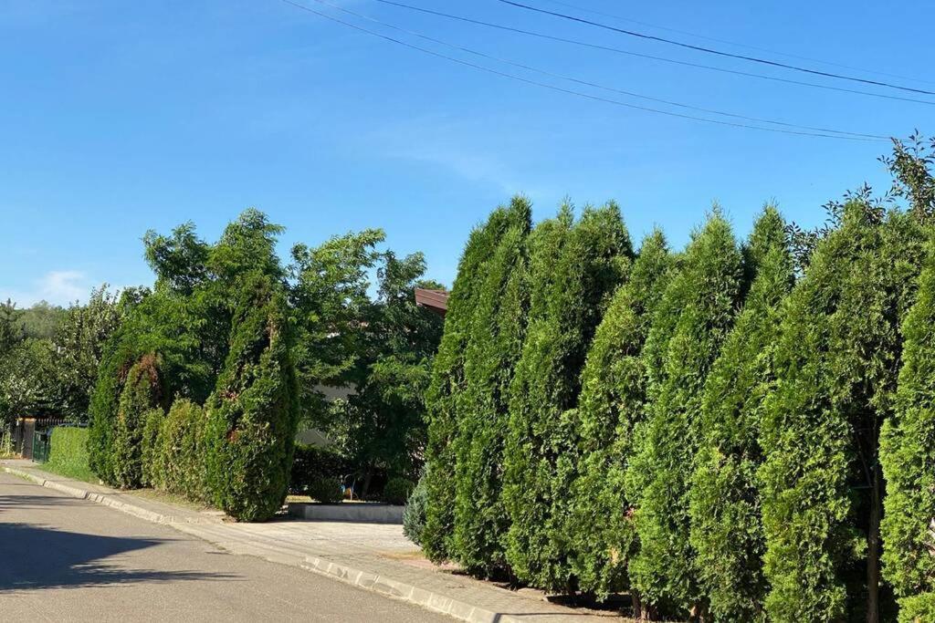 La Tuya Deluxe Villa Iasi Buitenkant foto